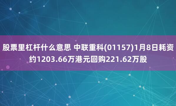 股票里杠杆什么意思 中联重科(01157)1月8日耗资约1203.66万港元回购221.62万股