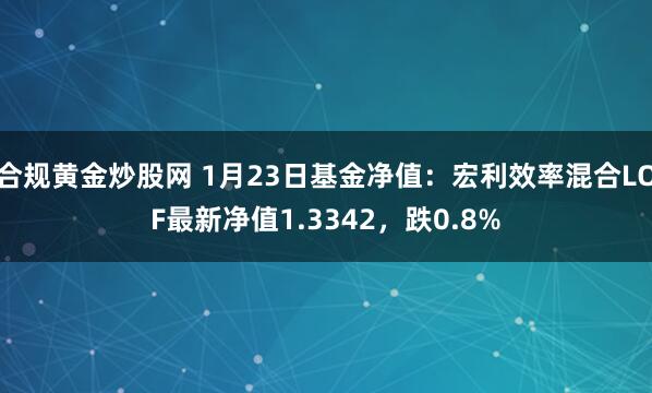 合规黄金炒股网 1月23日基金净值：宏利效率混合LOF最新净值1.3342，跌0.8%