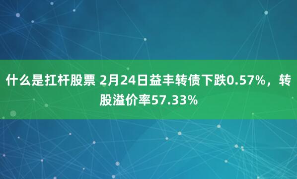 什么是扛杆股票 2月24日益丰转债下跌0.57%，转股溢价率57.33%