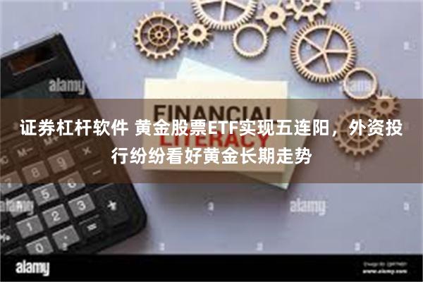 证券杠杆软件 黄金股票ETF实现五连阳，外资投行纷纷看好黄金长期走势