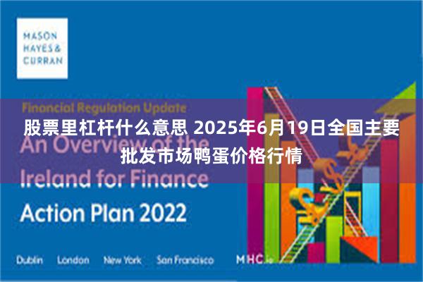 股票里杠杆什么意思 2025年6月19日全国主要批发市场鸭蛋价格行情